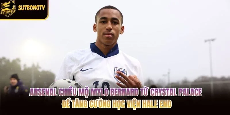 Arsenal chiêu mộ Mylo Bernard từ Crystal Palace để tăng cường học viện Hale End Arsenal chiêu mộ Mylo Bernard từ Crystal Palace để tăng cường học viện Hale End