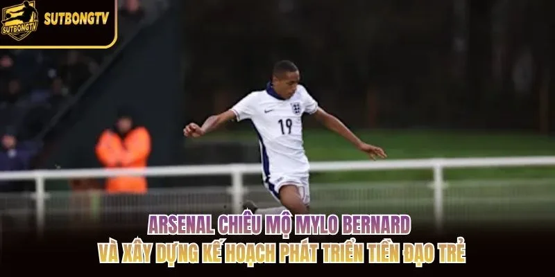 Arsenal chiêu mộ Mylo Bernard và xây dựng kế hoạch phát triển tiền đạo trẻ Arsenal chiêu mộ Mylo Bernard và xây dựng kế hoạch phát triển tiền đạo trẻ