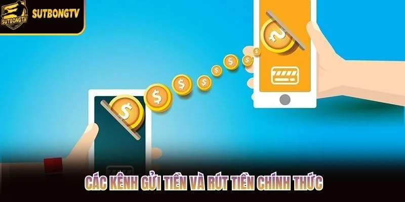 Các kênh gửi tiền và rút tiền chính thức