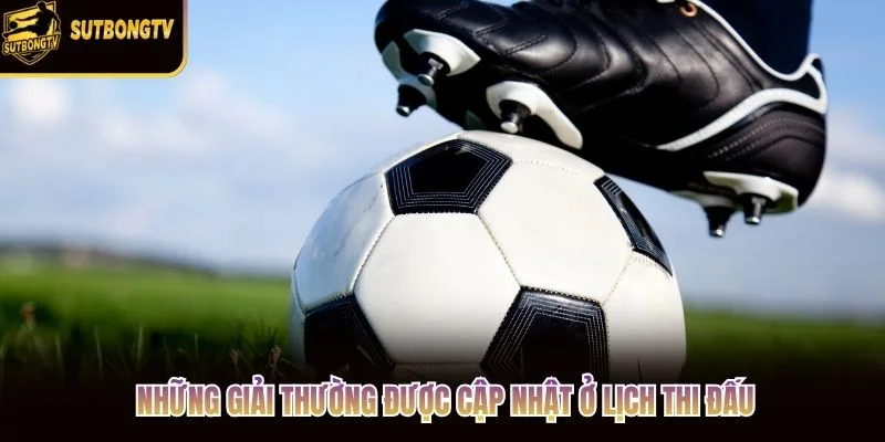 Những giải thường được cập nhật ở lịch thi đấu Những giải thường được cập nhật ở lịch thi đấu