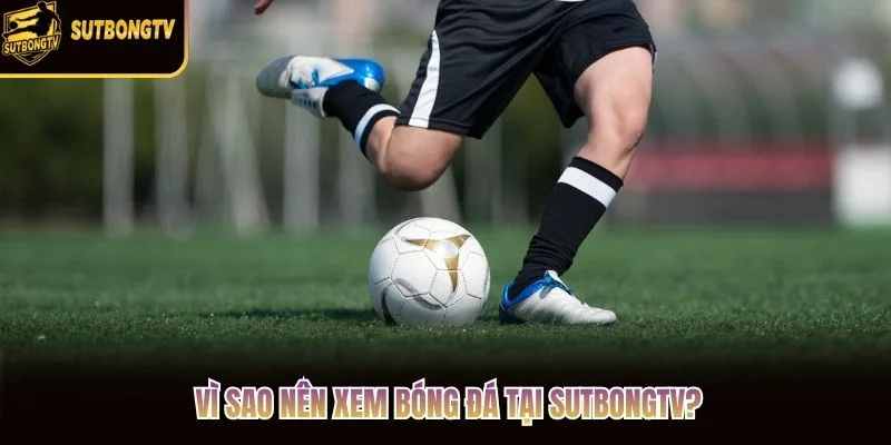 Vì sao nên xem bóng đá tại SutbongTV? Vì sao nên xem bóng đá tại SutbongTV?
